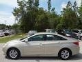 Camel Pearl - Sonata GLS Photo No. 2
