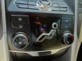 Camel Pearl - Sonata GLS Photo No. 22