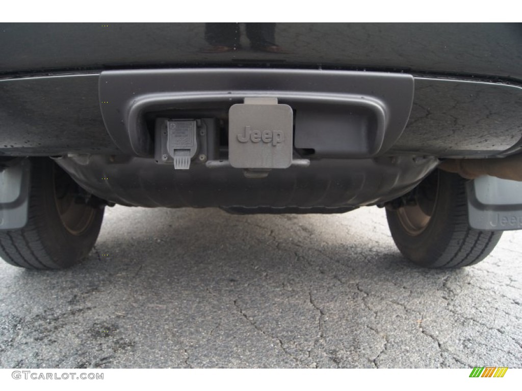 2003 Grand Cherokee Limited 4x4 - Brilliant Black / Sandstone photo #21