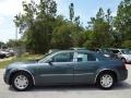 Magnesium Pearlcoat - 300 Touring Photo No. 2