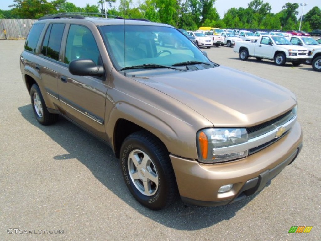 Sandalwood Metallic 2002 Chevrolet TrailBlazer LT Exterior Photo #67473433
