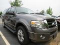 2010 Sterling Grey Metallic Ford Expedition EL XLT  photo #4