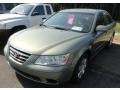 Natural Khaki Green - Sonata GLS Photo No. 1