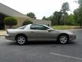 Light Pewter Metallic - Camaro Coupe Photo No. 7