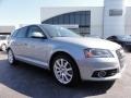 Monza Silver Metallic - A3 2.0 TDI Photo No. 6
