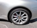 Platinum Silver Metallic - 911 Carrera S Cabriolet Photo No. 23