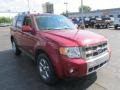 2008 Redfire Metallic Ford Escape Limited  photo #6