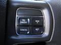 Saddle Brown Pearl - Ram 2500 HD ST Crew Cab 4x4 Photo No. 13