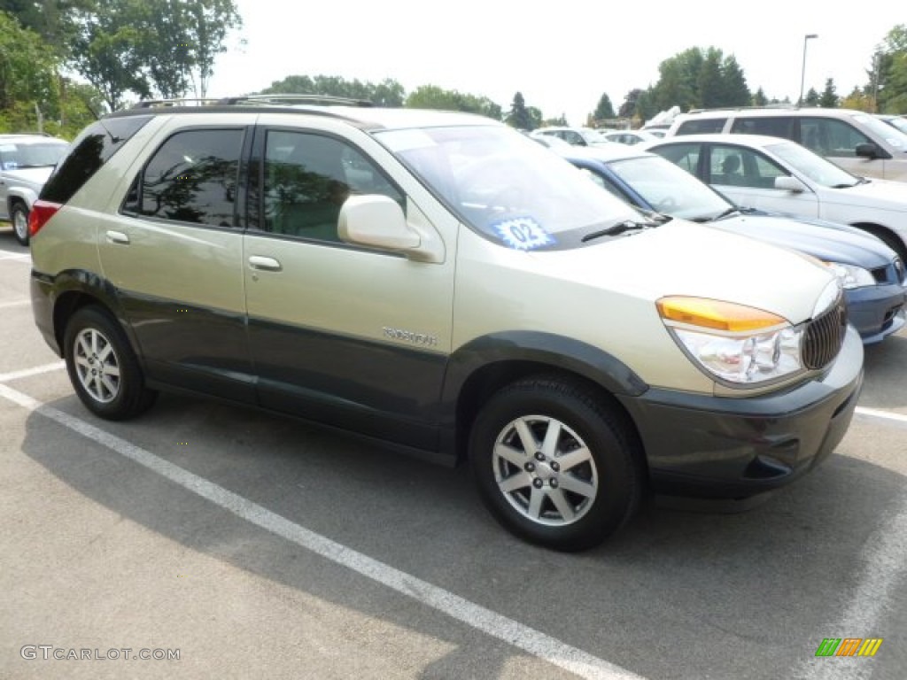 2002 Rendezvous CXL AWD - Light Driftwood / Medium Oak photo #1
