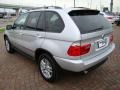 2006 Titanium Silver Metallic BMW X5 3.0i  photo #11