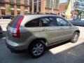 2007 Borrego Beige Metallic Honda CR-V EX-L 4WD  photo #11