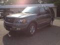 2005 Dark Stone Metallic Ford Expedition Limited 4x4  photo #7