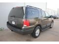 2005 Dark Stone Metallic Ford Expedition XLT  photo #3