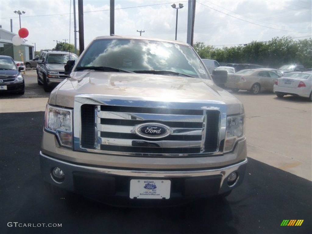 2012 F150 XLT SuperCrew - Pale Adobe Metallic / Pale Adobe photo #17