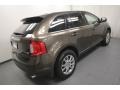 Earth Metallic - Edge Limited AWD Photo No. 10