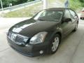 2004 Onyx Black Nissan Maxima 3.5 SL  photo #5