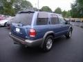 2001 Bayshore Blue Metallic Nissan Pathfinder SE 4x4  photo #29
