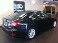 Obsidian Black - IS 250 AWD Photo No. 2