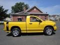 2004 Solar Yellow Dodge Ram 1500 Rumble Bee Regular Cab 4x4  photo #10