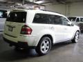 Arctic White - GL 450 4Matic Photo No. 6