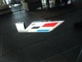 2012 Cadillac CTS -V Coupe Badge and Logo Photo