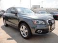Daytona Gray Pearl Effect - Q5 3.2 FSI quattro Photo No. 1