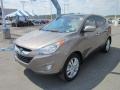 Chai Bronze - Tucson GLS AWD Photo No. 3