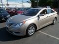 Camel Pearl - Sonata GLS Photo No. 2