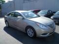 Camel Pearl - Sonata GLS Photo No. 3