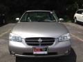Sterling Mist Metallic - Maxima GLE Photo No. 4