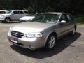 Sterling Mist Metallic - Maxima GLE Photo No. 5