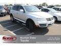 Reflex Silver Metallic - Touareg V8 Photo No. 1