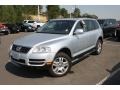 Reflex Silver Metallic - Touareg V8 Photo No. 4