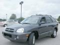 2005 Pewter Gray Hyundai Santa Fe LX 3.5  photo #1