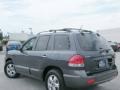 2005 Pewter Gray Hyundai Santa Fe LX 3.5  photo #10