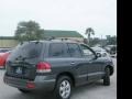 2005 Pewter Gray Hyundai Santa Fe LX 3.5  photo #12