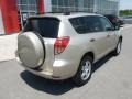Savannah Metallic - RAV4 4WD Photo No. 11