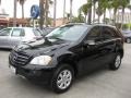 Black - ML 350 4Matic Photo No. 8