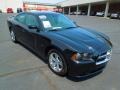 Pitch Black - Charger R/T Plus Photo No. 1