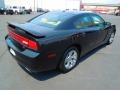 Pitch Black - Charger R/T Plus Photo No. 6
