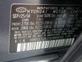 W5: Pewter Gray 2005 Hyundai Santa Fe LX 3.5 Color Code