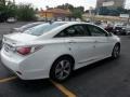 Porcelain White Pearl - Sonata Hybrid Photo No. 4