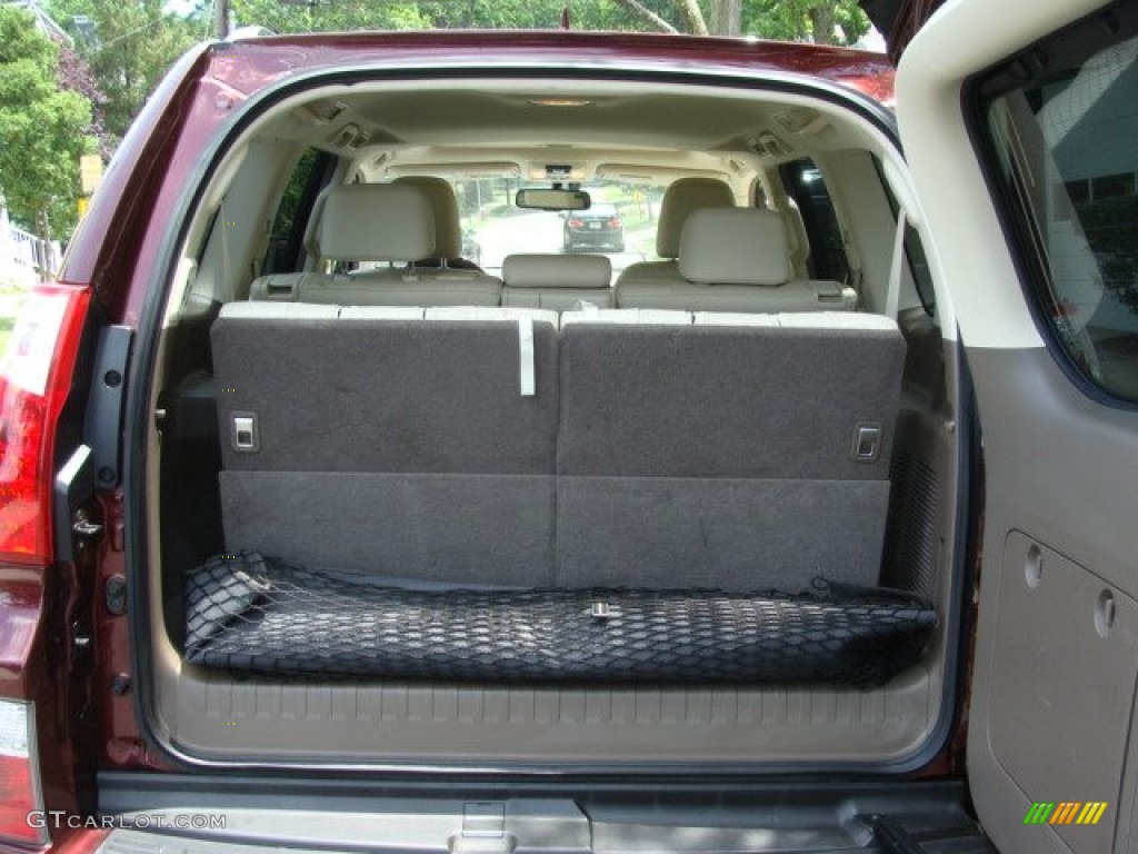 2010 Lexus GX 460 Trunk Photo #67575100