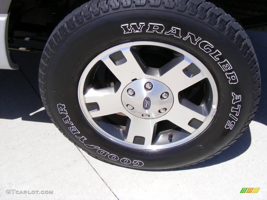2006 F150 XLT SuperCrew - Dark Shadow Grey Metallic / Medium/Dark Flint photo #13