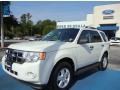 2009 White Suede Ford Escape XLT  photo #1