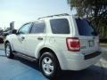 2009 White Suede Ford Escape XLT  photo #3