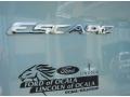 2013 Frosted Glass Metallic Ford Escape SE 1.6L EcoBoost  photo #4