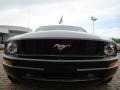2006 Black Ford Mustang V6 Deluxe Coupe  photo #8