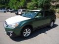 Cypress Green Pearl - Outback 2.5i Limited Photo No. 6