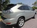 2004 Bamboo Pearl Lexus RX 330  photo #6